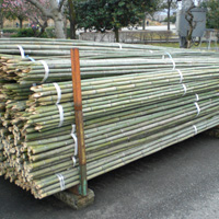 �T���v���摜