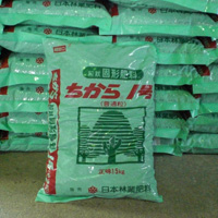 �T���v���摜