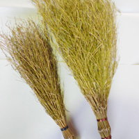 �T���v���摜