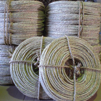 �T���v���摜